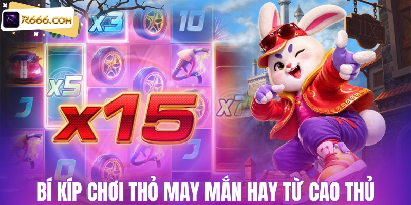 Mẹo chơi thỏ may mắn từ cao thủ